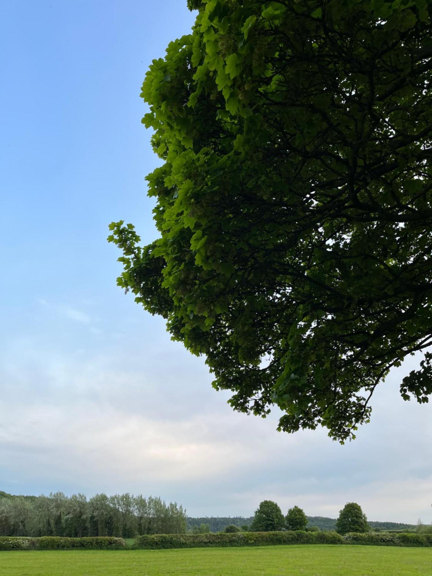 Villa Unbox At Poplar Tree Durham Exterior foto