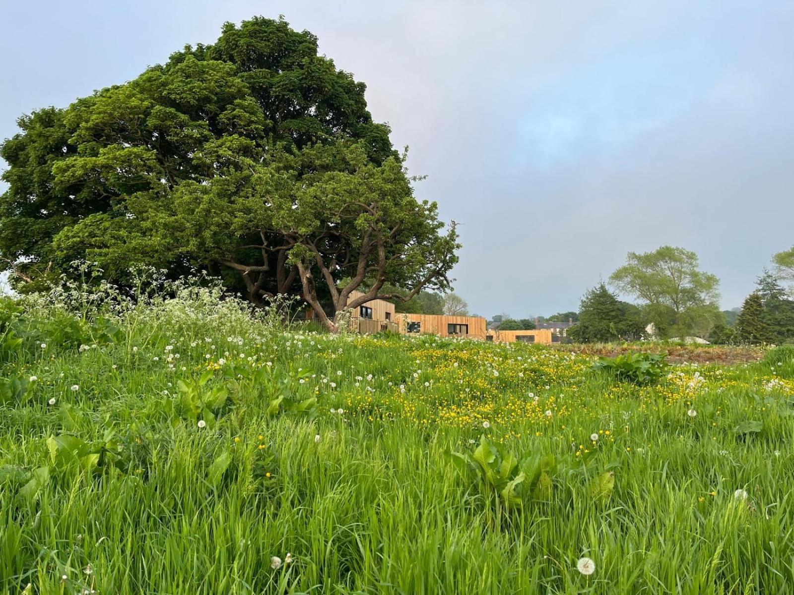 Villa Unbox At Poplar Tree Durham Exterior foto